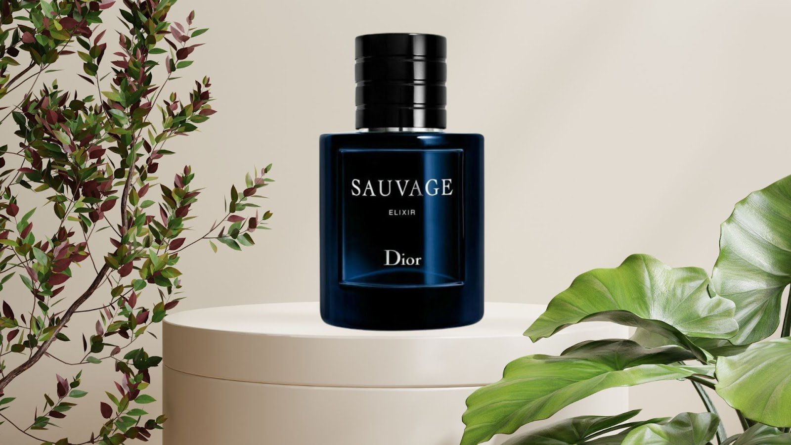 Sauvage Elixir Dior For Men - A Fragrance Legacy!
