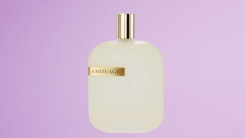 The Library Collection Opus V Amouage Review