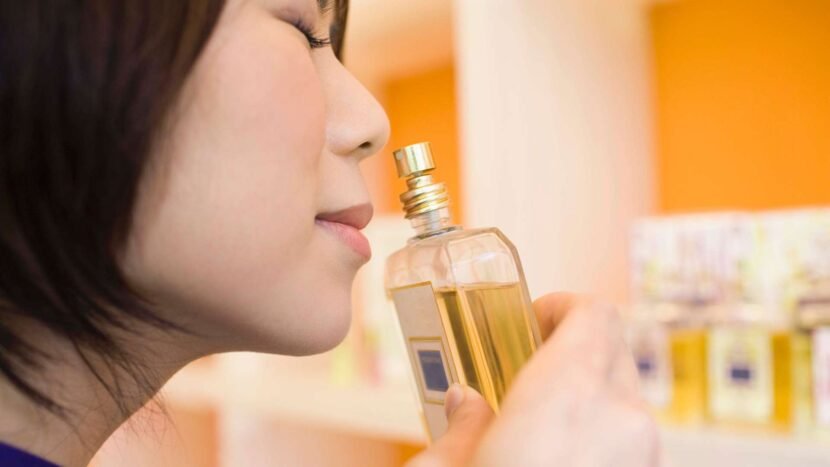 Training Your Nose: The Key to Perfumery Success