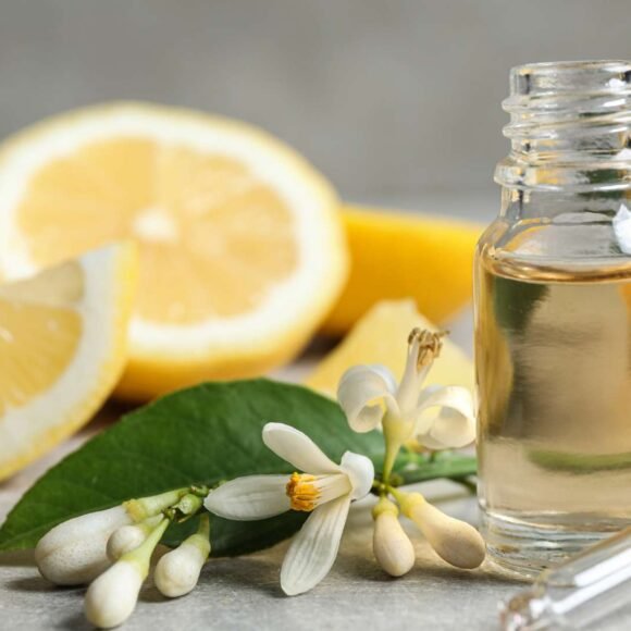 Citrus Notes In Perfume