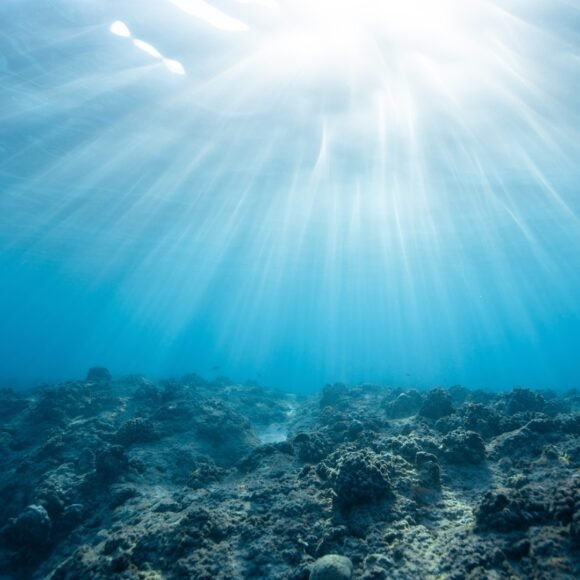 Marine Notes in Perfume